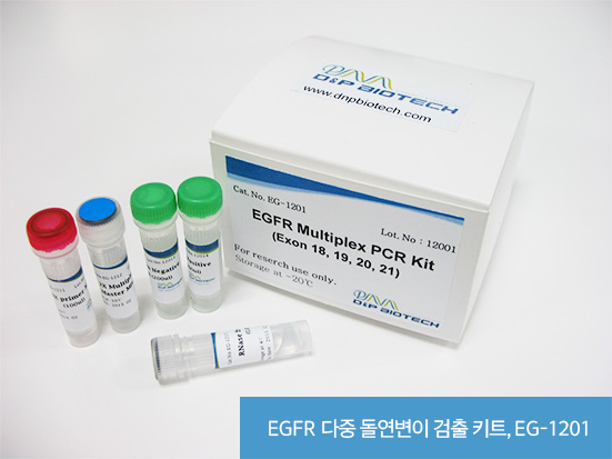 EGFR 다중 돌연변이 검출 키트