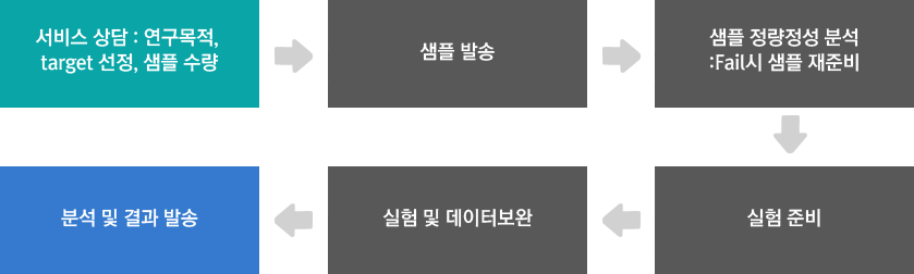 1.서비스 상담:연구목적, target선정,샘플수량 2.샘플 발송 3.샘플 정량정성 분석 : Fail시 샘플 재준비 4.실험 준비 5.실험 및 데이터보완 6.분석 및 결과 발송